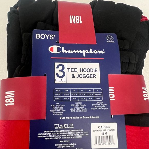 Champion Toddler Boys' 18M Active Hoodie Jogger Pants and T-Shirt Tee Set 18M - Picture 6 of 6